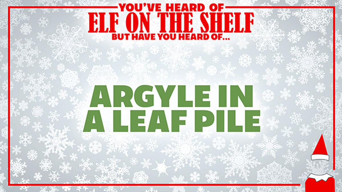 You've Heard of Elf on the Shelf 4 image number null